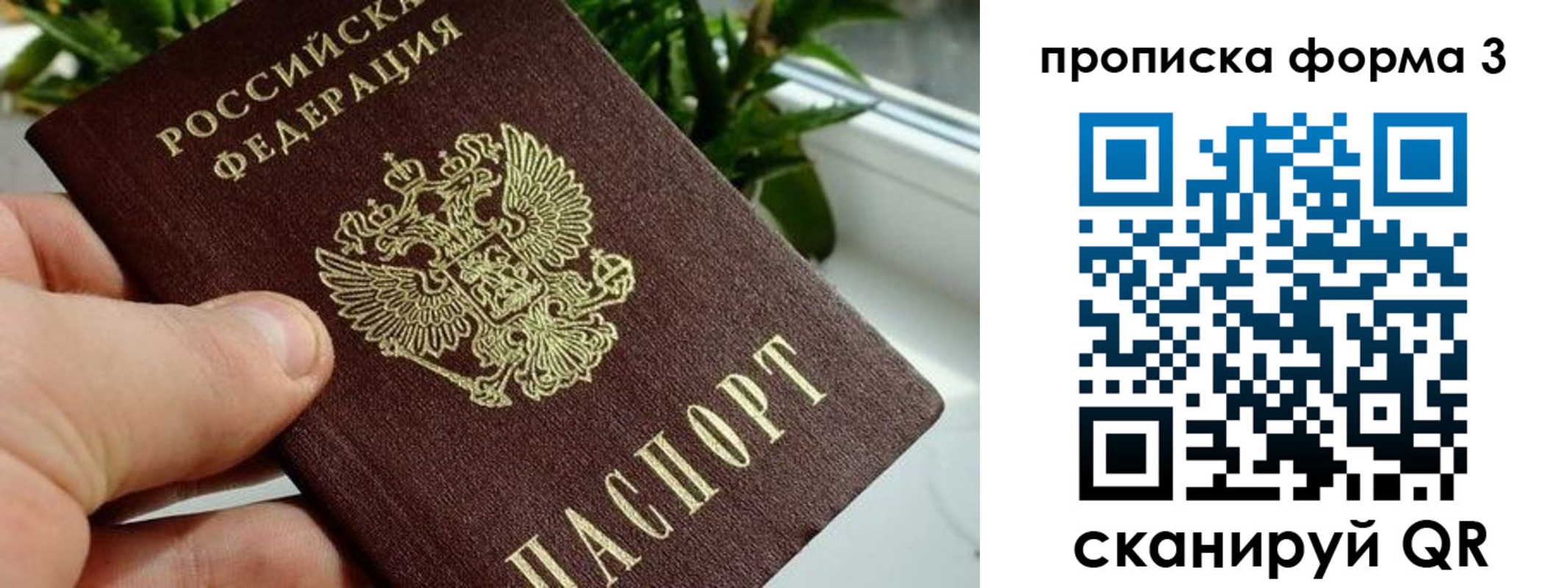 прописка паспорт в Новокуйбышевске